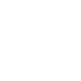 Icon_2